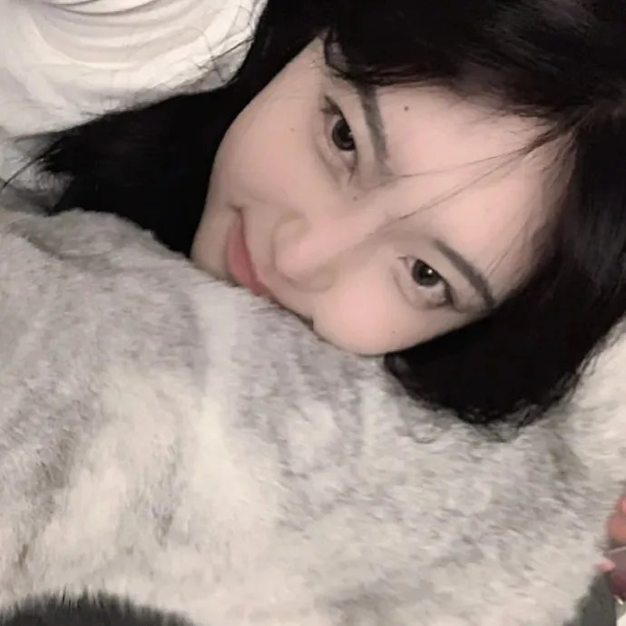 何加加的桃花源记 海报
